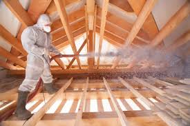 Best Insulation Removal  in USA